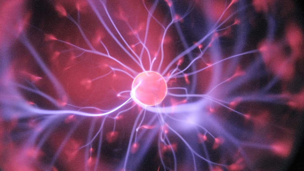 Stanford Found a Tiny Peptide That Cuts Appetite Like Ozempic — Without the Nausea