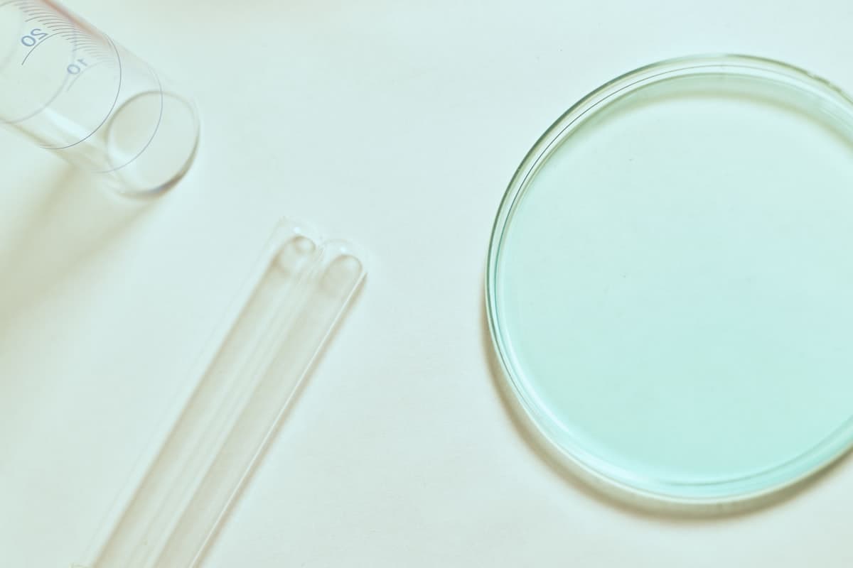 Three Gut Peptides, Ranked by Evidence Instead of Hype