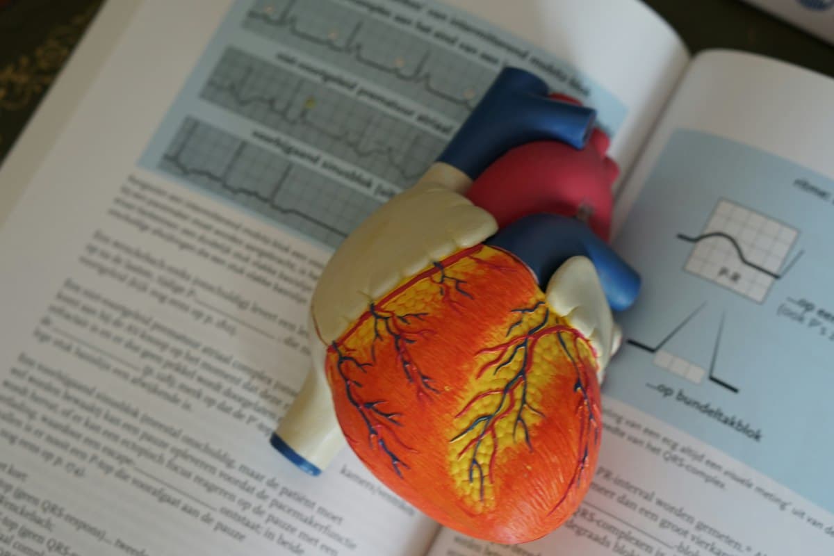 Two GLP-1 Drugs Finally Went Head to Head on Heart Attacks. It Was a Tie.